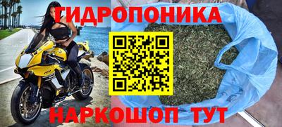 тгк Можга