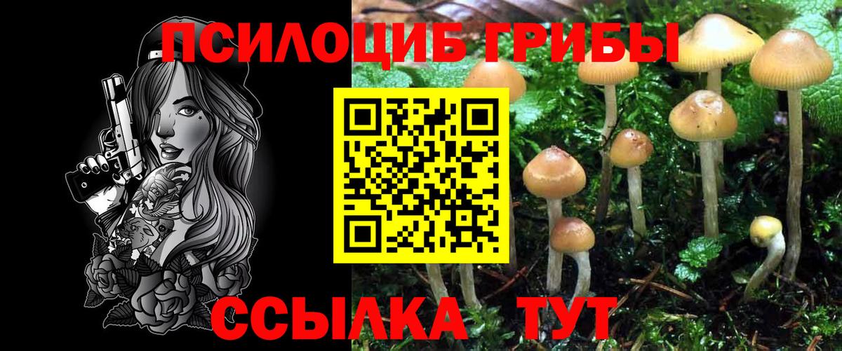 Галлюциногенные грибы Cubensis  наркотики  Тавда  Вход с VPN 